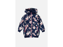 20220130166   Lipa   �������(���).jpg