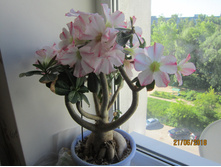 �������