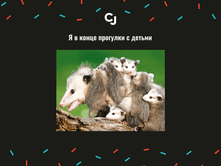 5b1b6f73c7a23.png