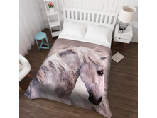 ��������� �������� 13535.jpg