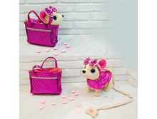 ������������� ������� � �������� � ������� ����� �� �������