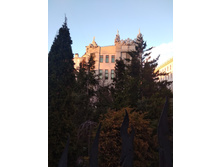 ���, ��� � ������ �� ���� :-D