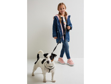 20220160199   Ban   �����.jpg