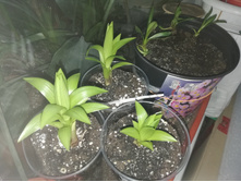 IMG 20190322 183603.jpg