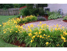 ������ �� ����������