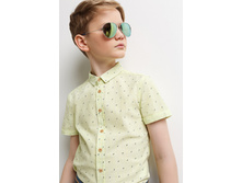 20106500011   Silvavion   �����(���).jpg