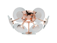 678012309 3600�.jpg