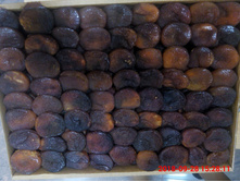 ������ ������ ����������