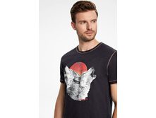 101�00�110�047   Wolf   �����-�����(����.jpg