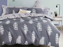 ���������� ����� Fly, �����