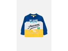 20150100026   Chard   �������.jpg