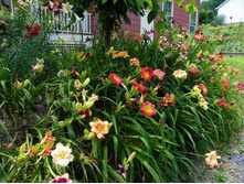 ��������� �� ������