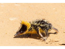 ��������� ������