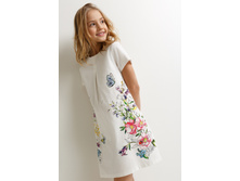 20210200312   Brassolida   �������.jpg