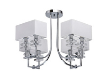 101010708 3900�.jpg