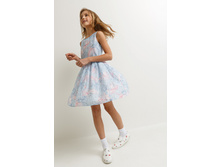 20210200315   Spilosoma   �������.jpg