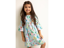 20220200347   Aglais   �������(������).jpg