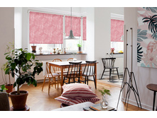 �������� �����, ������� ���������