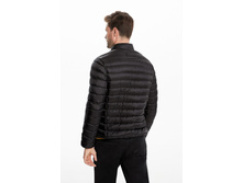 101�00�130�025   Viktor   ������(�.jpg