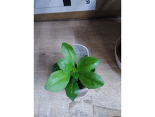 ������������ ����� ����� ��� ����. IMG 20190228 091457.jpg