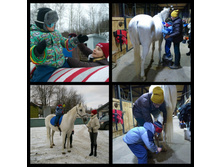 �����������