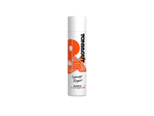 ������� �������������� ������������ ����� Damage repair shampoo 250 �� Toni&Guy..jpg