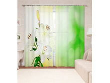 ����001-14040 2.jpg