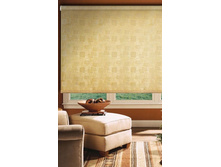 ���� �������