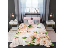 ��������� �������� "���� � ����������� ����" ����005-11419-��