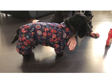 Viber image 2019-03-23 , 16.23.57.jpg