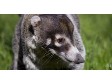 ����� ��������