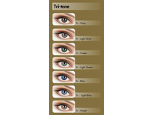Adore Tri-Tone. ���� 1016�+% (��� �������� 1199�+%)