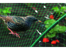 ����� �� ���� 2�10 � (����) 360�+�������