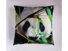 ����� �� �������� ������� "�����" ��������� �� ������