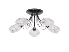 267013505 3300�.jpg