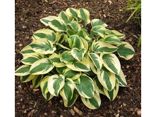 ����� ���� ���� ������ ����-��̣��� � ������� ������ 1 �� �������.jpg