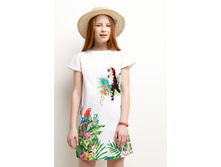 20210200325   Papaya   �������.jpg