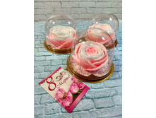 ���������� � ������