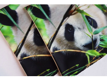 ����� �� �������� ������� "�����" ��������� �� ������