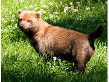 ������������� ������ 2.jpg