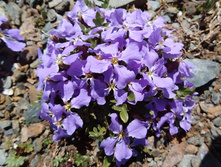 ��������� �����.jpg