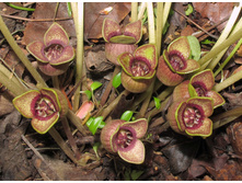 �������� ��������.jpg