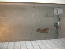 IMG 1870.JPG
