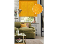 �������� ����� ���� , ���������