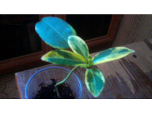 ���������� �������������