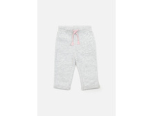 20250160024   Lurgan   �����.jpg