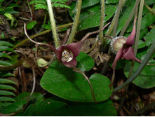 �������� ���������.jpg