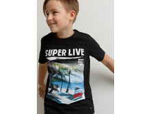 20110110172   Vodkin   ������.jpg