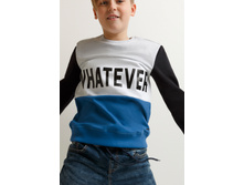 20110100166   Chan   �������(������).jpg