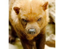 ������������� ������